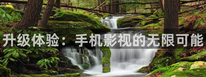 窝窝视频网