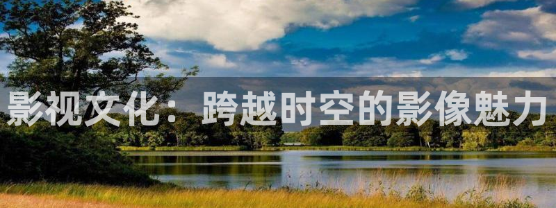窝窝电影网站