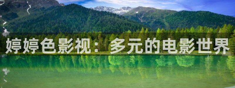 窝窝在线观看