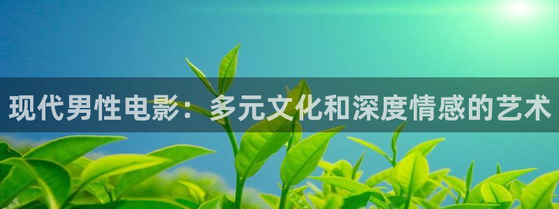 窝窝免费网电影电视剧