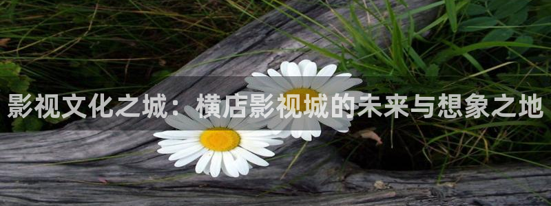 窝窝影院怎么免费看剧
