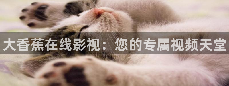 窝窝影院神马