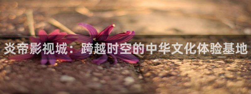 6080新视觉窝窝