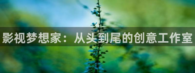 窝窝影视网在线观看
