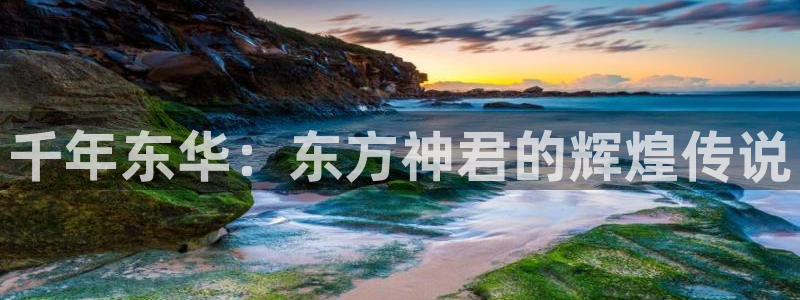 窝窝看看电影网