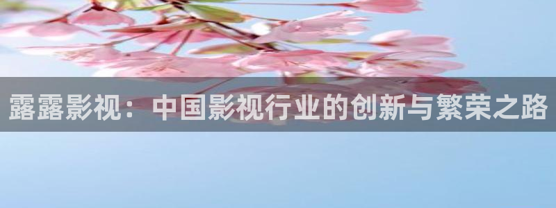 窝窝午夜在线电影