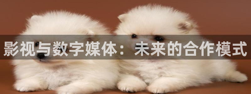 窝窝手机电影55网