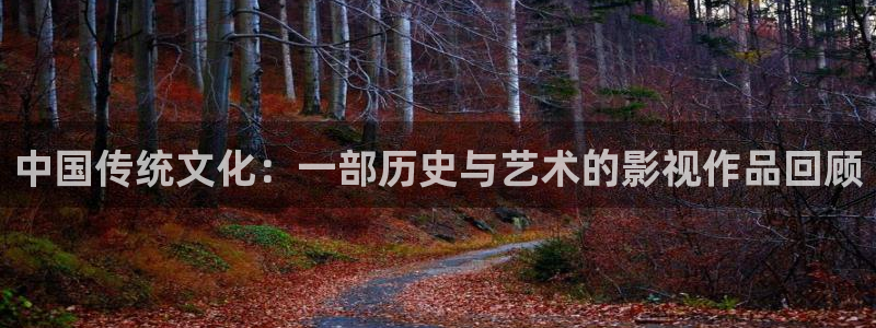 窝窝影院在线观看电视剧的注意事项