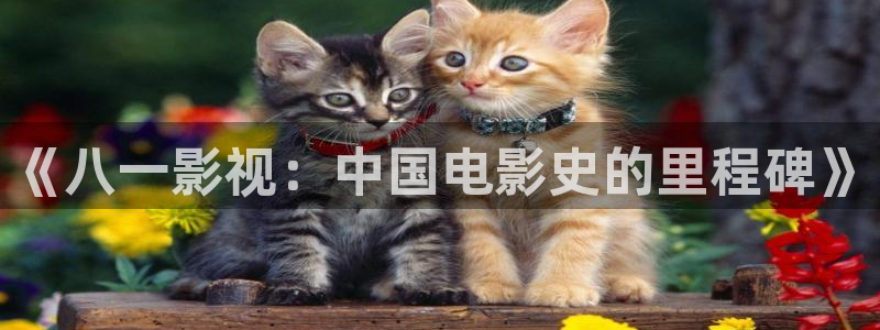 窝窝影院免费追剧方法