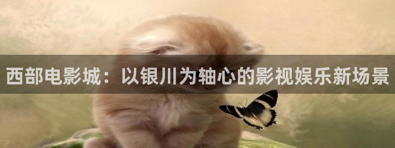 窝窝影院在线播放免费高清电视剧