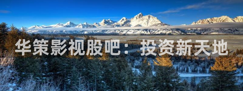 窝窝影院免费观看电视剧大全最新