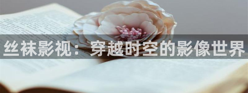 窝窝影院电视剧免费观看高清