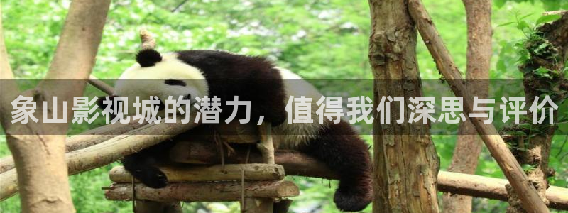 窝窝成人影院