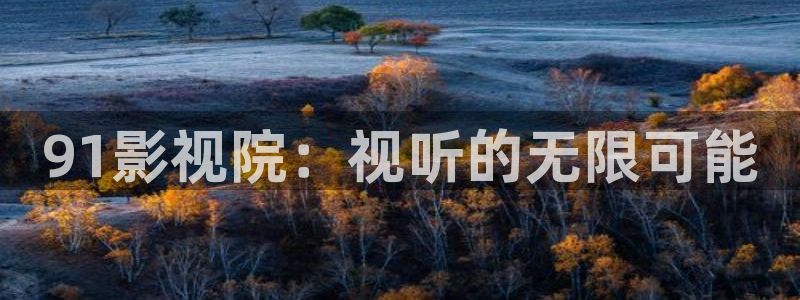 窝窝网电影电视剧免费观看
